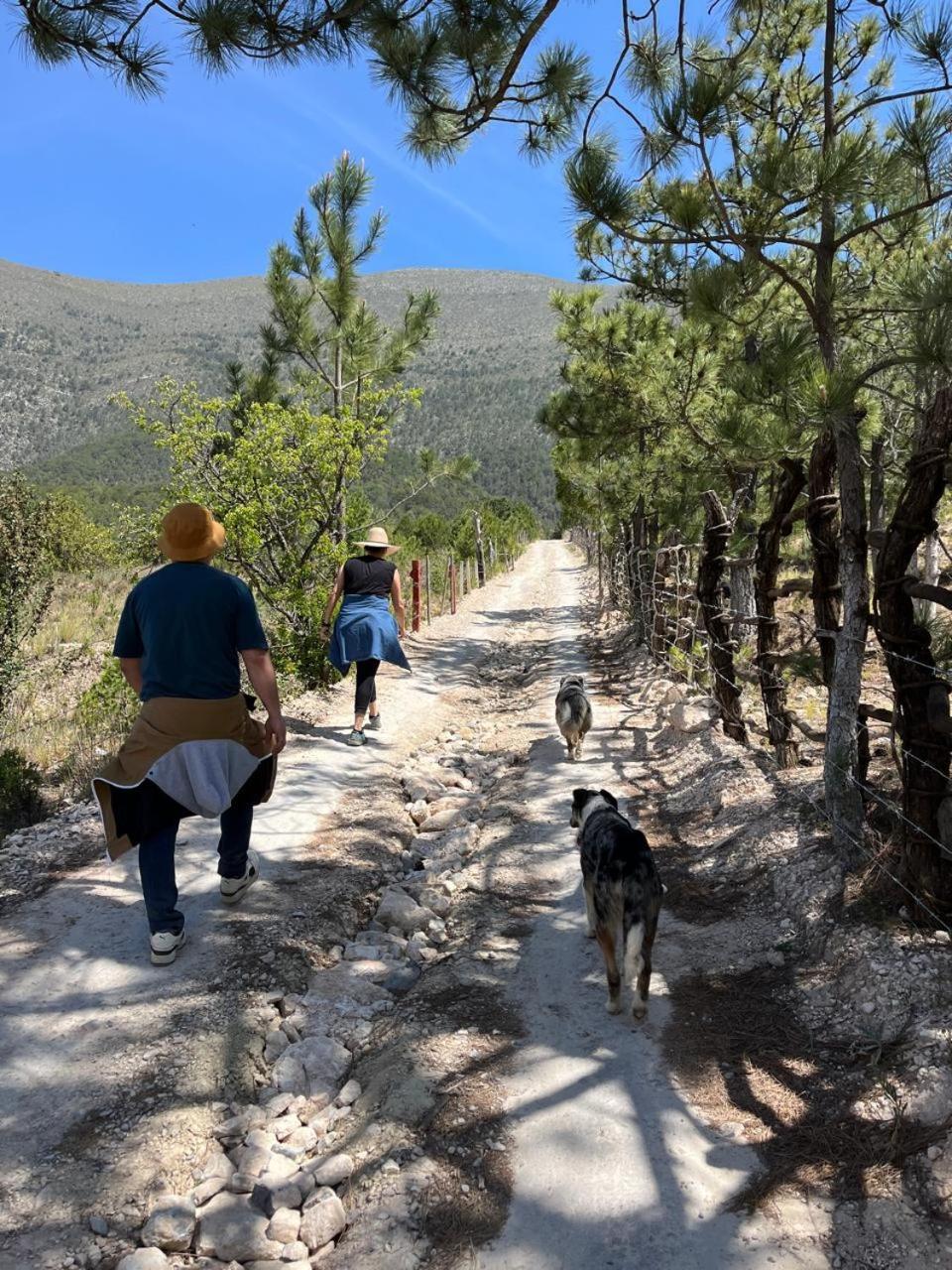 Camping En La Sierra De Arteaga Los Lirios Dış mekan fotoğraf