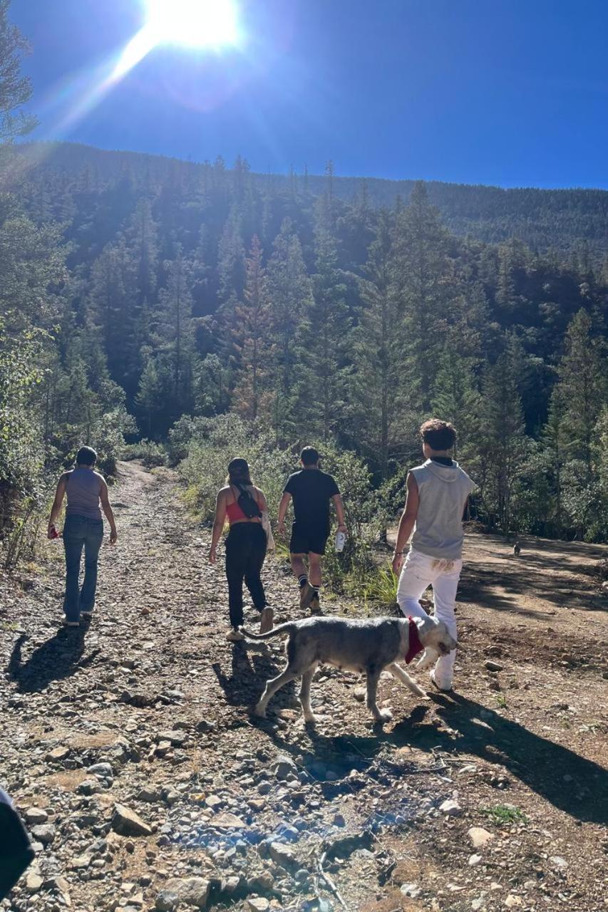 Camping En La Sierra De Arteaga Los Lirios Dış mekan fotoğraf