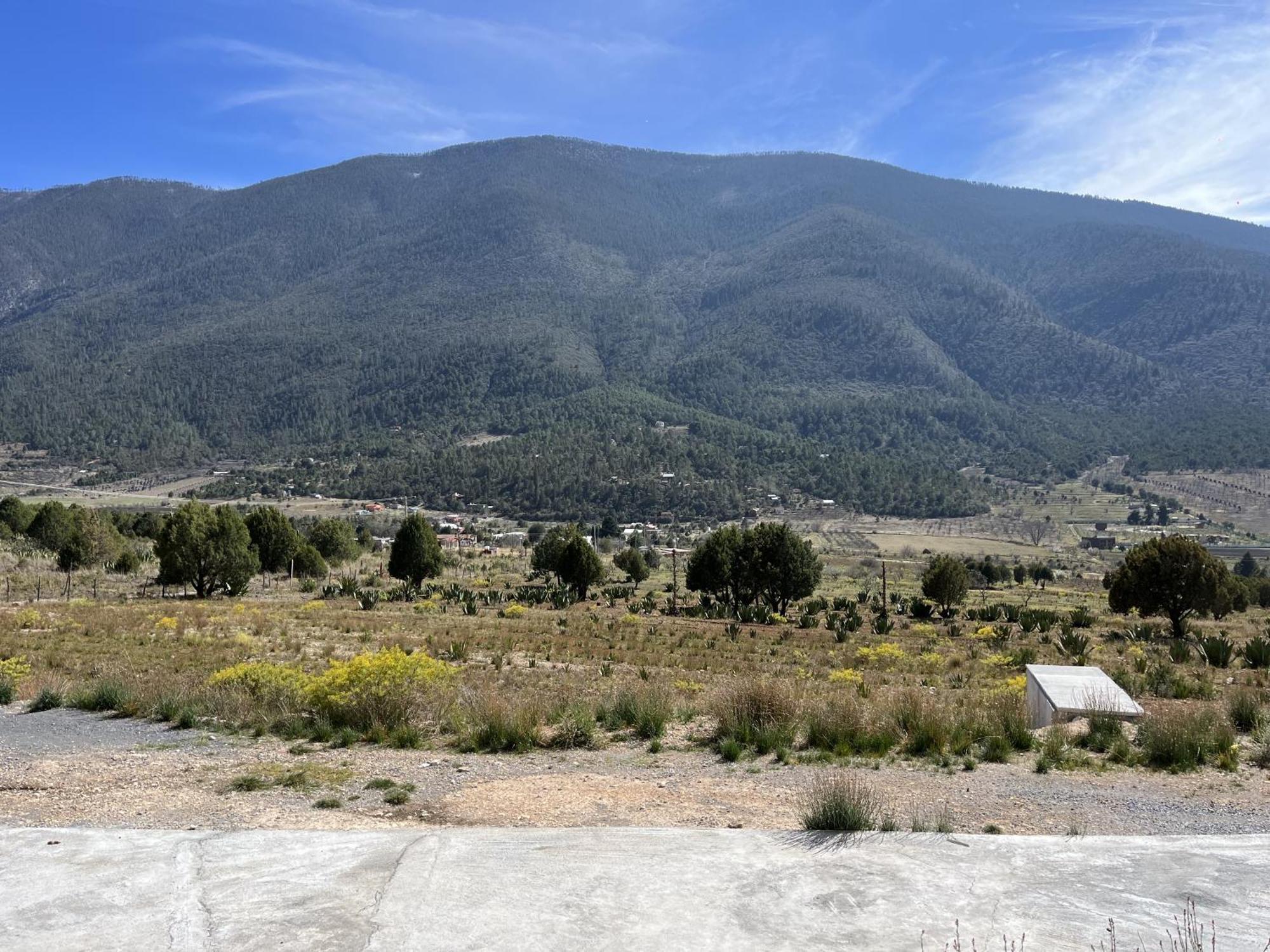 Camping En La Sierra De Arteaga Los Lirios Dış mekan fotoğraf