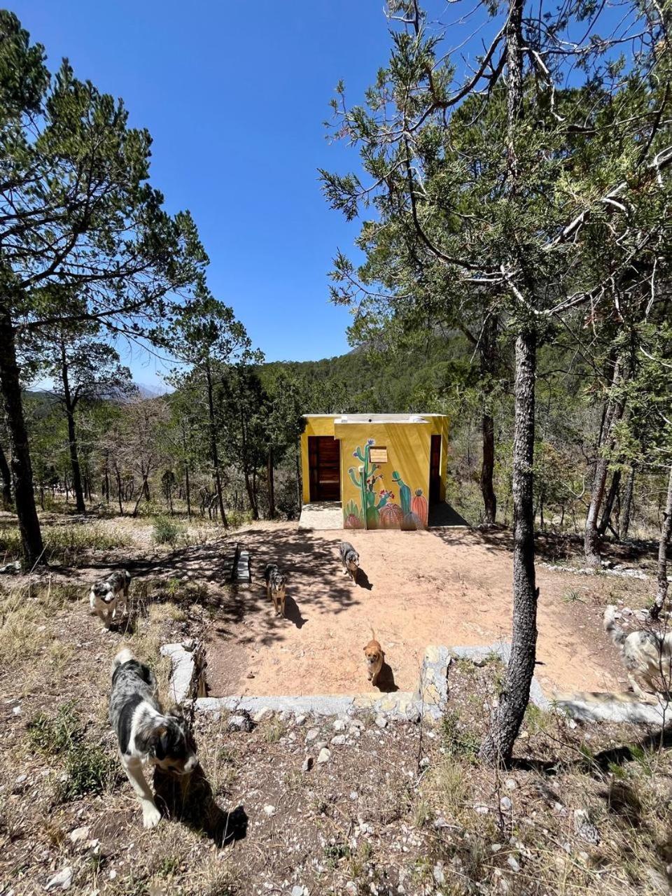 Camping En La Sierra De Arteaga Los Lirios Dış mekan fotoğraf