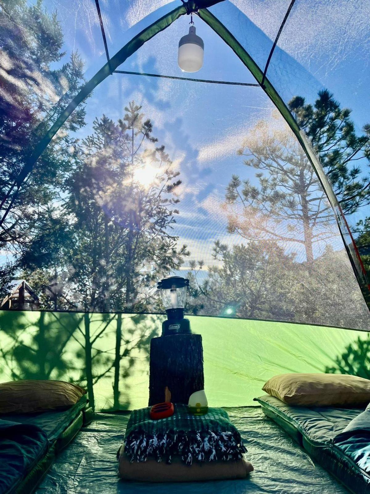 Camping En La Sierra De Arteaga Los Lirios Dış mekan fotoğraf