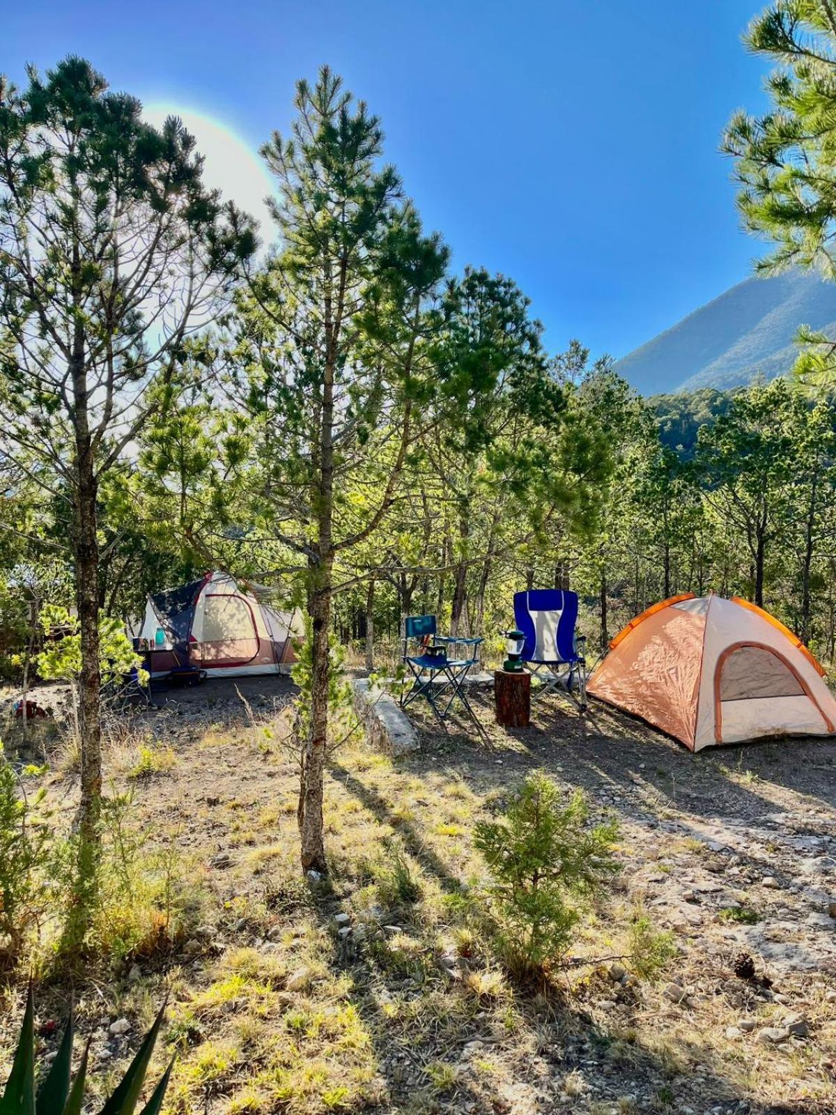 Camping En La Sierra De Arteaga Los Lirios Dış mekan fotoğraf